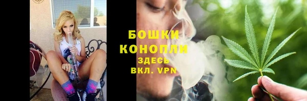ALPHA PVP Богородицк