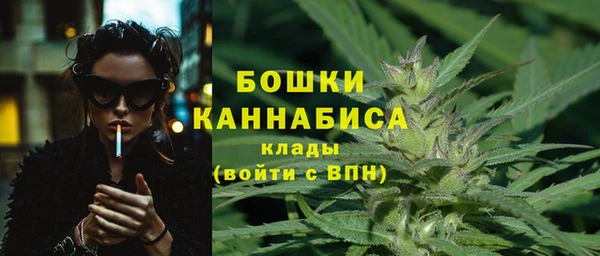 ALPHA PVP Богородицк